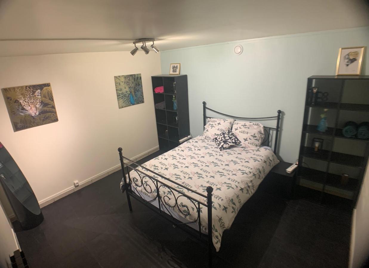 Appartement Cosy Proche Roissy Cdg Asterix Disneyland Paris Гусенвил Екстериор снимка