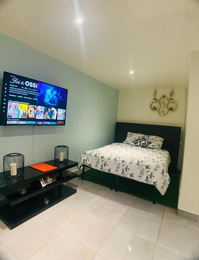 Appartement Cosy Proche Roissy Cdg Asterix Disneyland Paris Гусенвил Екстериор снимка