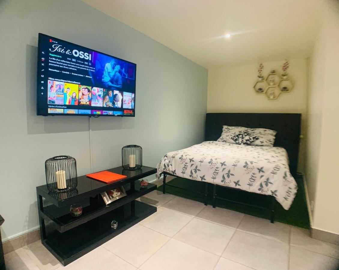 Appartement Cosy Proche Roissy Cdg Asterix Disneyland Paris Гусенвил Екстериор снимка